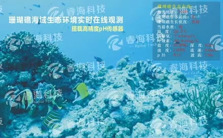 水下波浪在線(xiàn)觀測(cè)系統(tǒng)